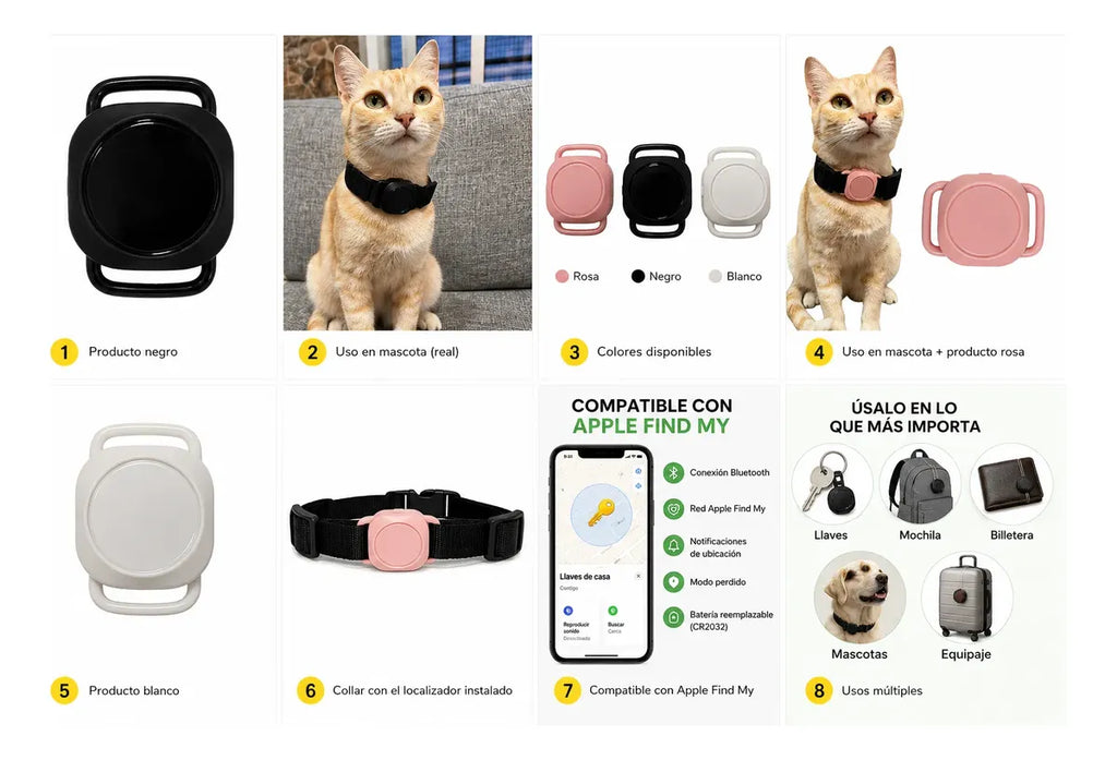 Gato usando localizador Bluetooth blanco en el collar