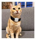 Gato usando localizador Bluetooth negro en el collar